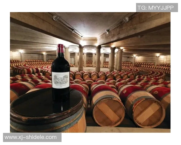 足球明星跨界投资酒庄打造独特品牌助力葡萄酒市场新风潮