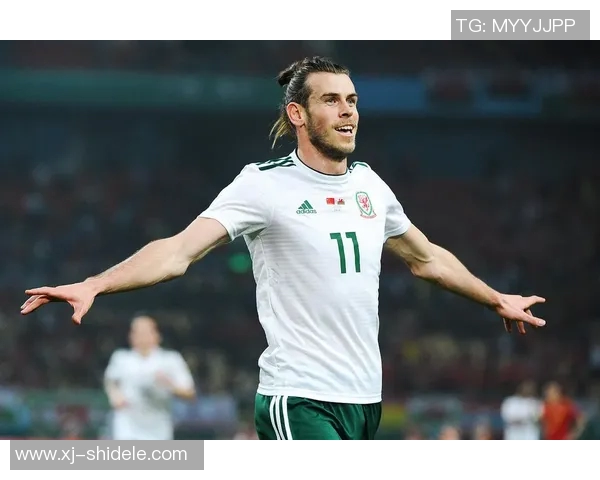 卡迪夫足球明星的辉煌历程与成就回顾