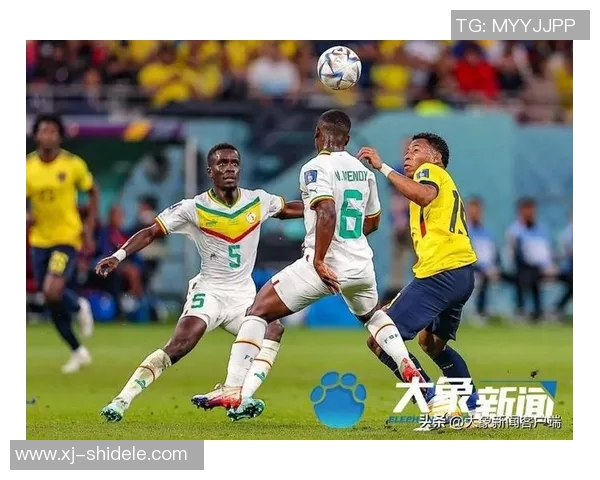 足球明星重返非洲的旅程与影响探讨